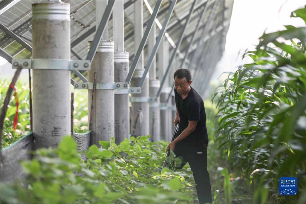 龙都国际登录网址
